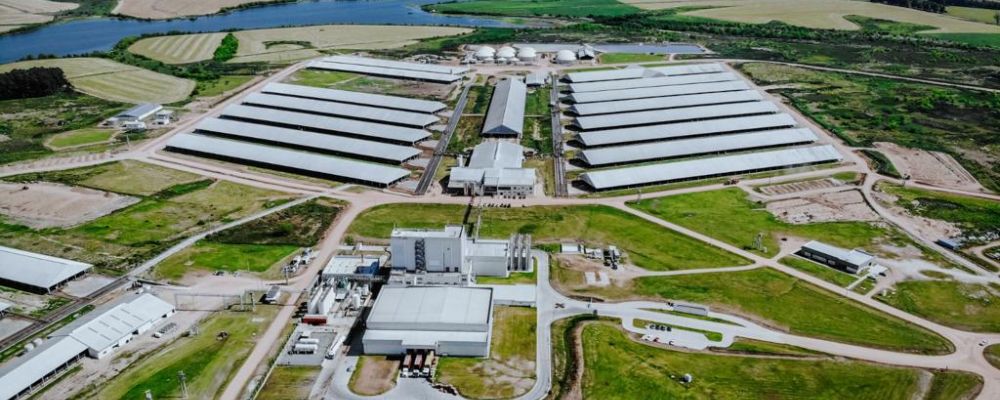 Planta Industrial de Leche en Polvo